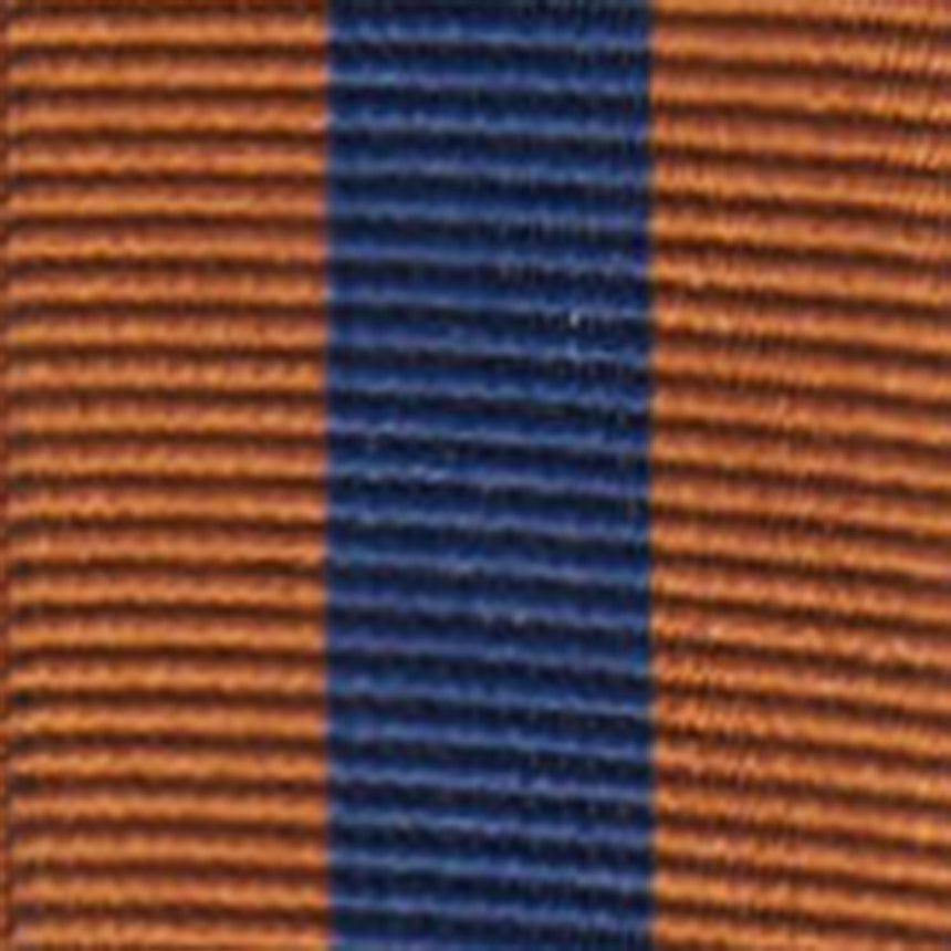 LIGHT BROWN AND BLUE BRACES