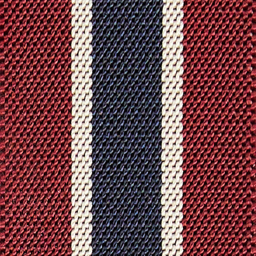 BURGUNDY AND BLUE BRACES