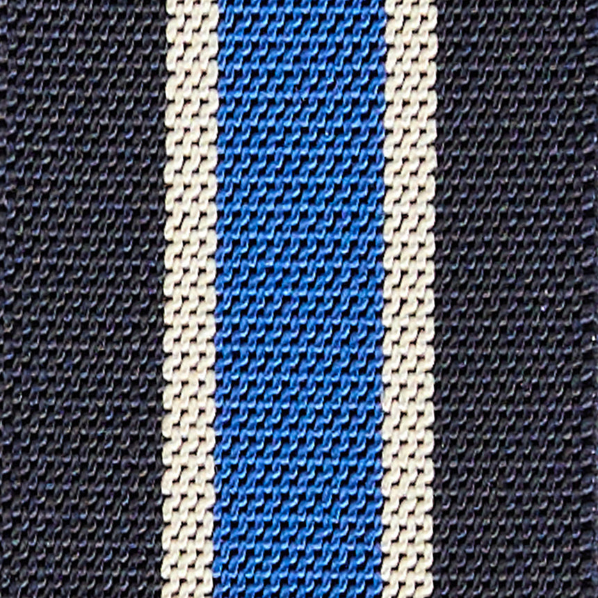 DARK AND LIGHT BLUE BRACES