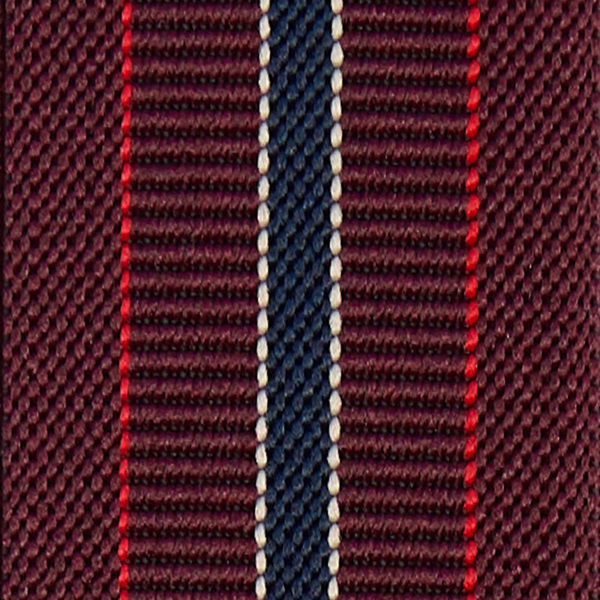 BURGUNDY AND BLUE BRACES