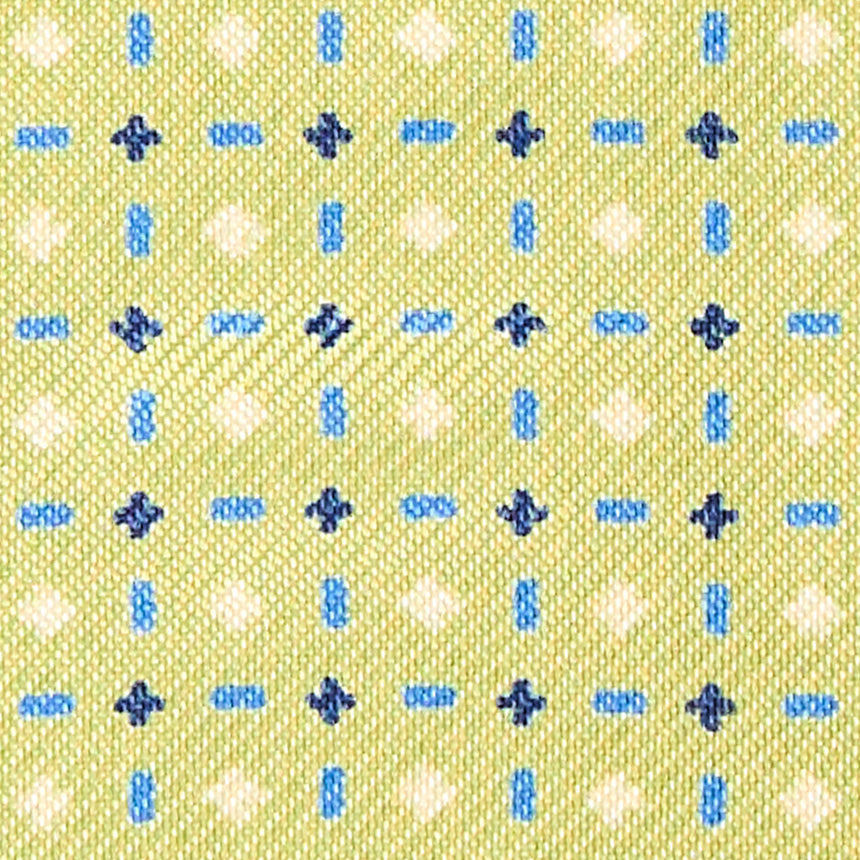 LIGHT GREEN GLASSES CASE