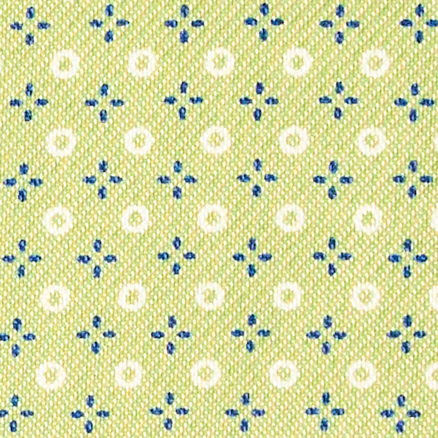 LIGHT GREEN GLASSES CASE