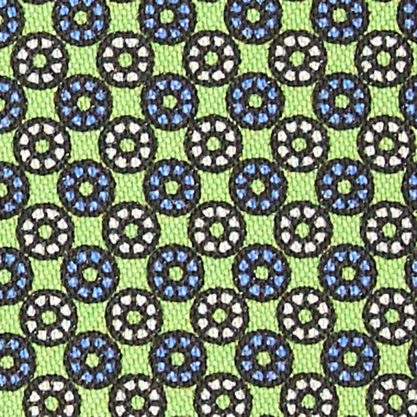 LIGHT GREEN GLASSES CASE