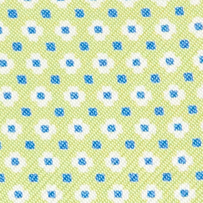 LIGHT GREEN GLASSES CASE