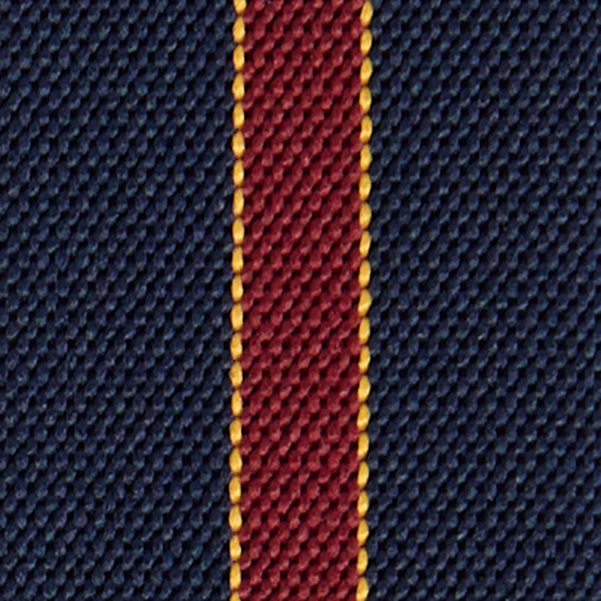 BLUE AND BURGUNDY BRACES