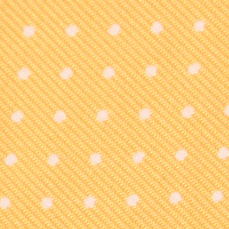 YELLOW GLASSES CASE