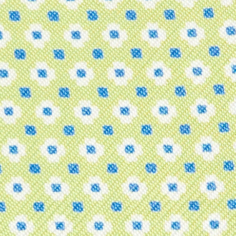 LIGHT GREEN GLASSES CASE