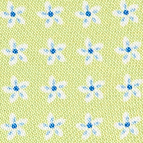 LIGHT GREEN GLASSES CASE