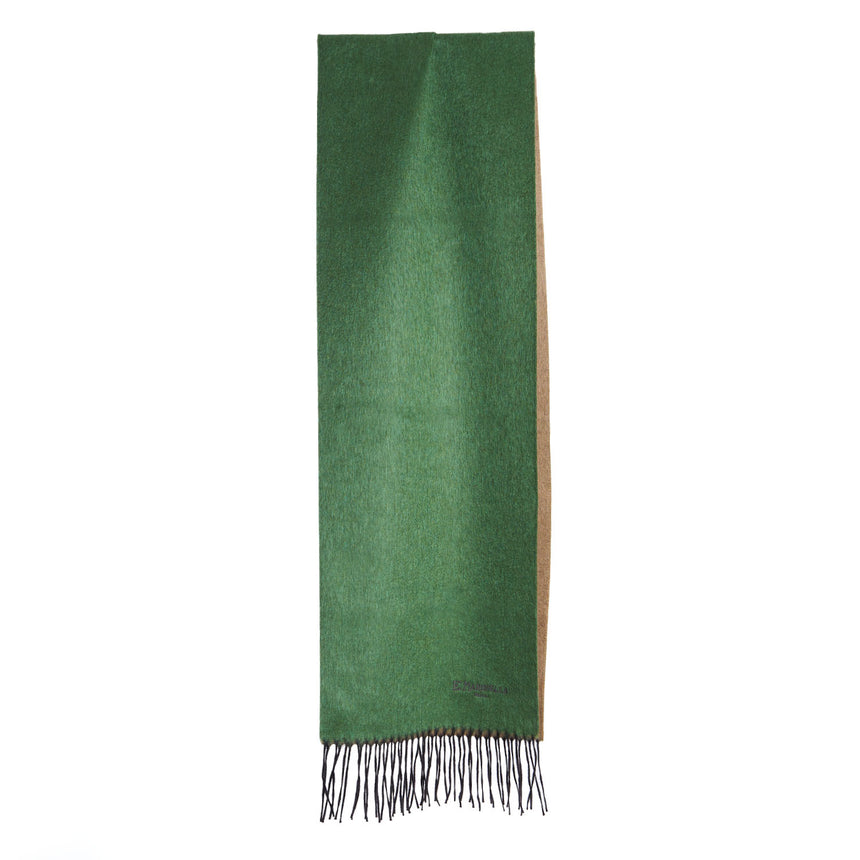 BICOLOR GREEN AND BEIGE SILK AND CASHMERE SCARF